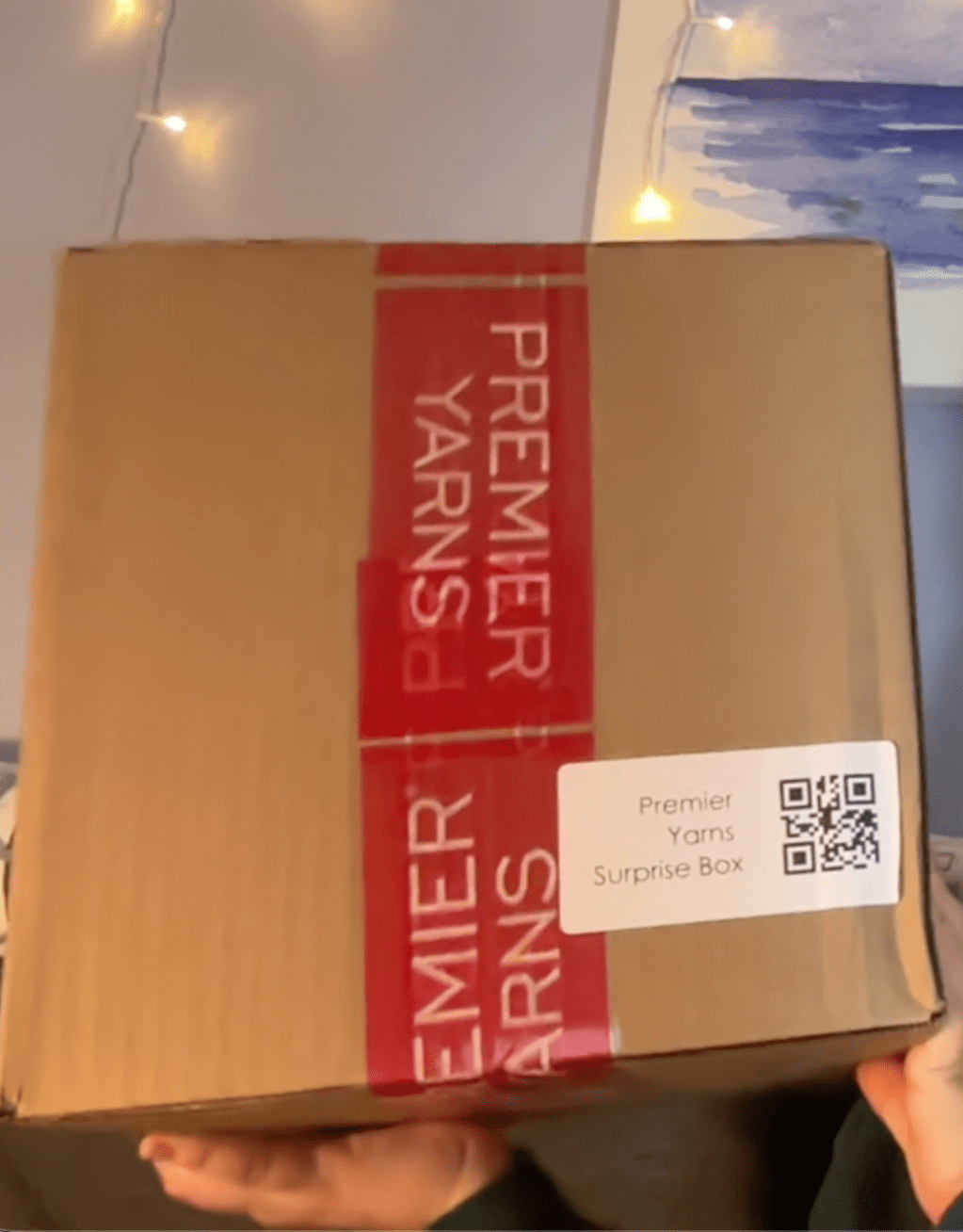 Premier Yarns Surprise Mystery Box